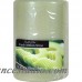 Fortune Products Candle-Lite Fresh Melon Slice Pillar Candle YDR1108
